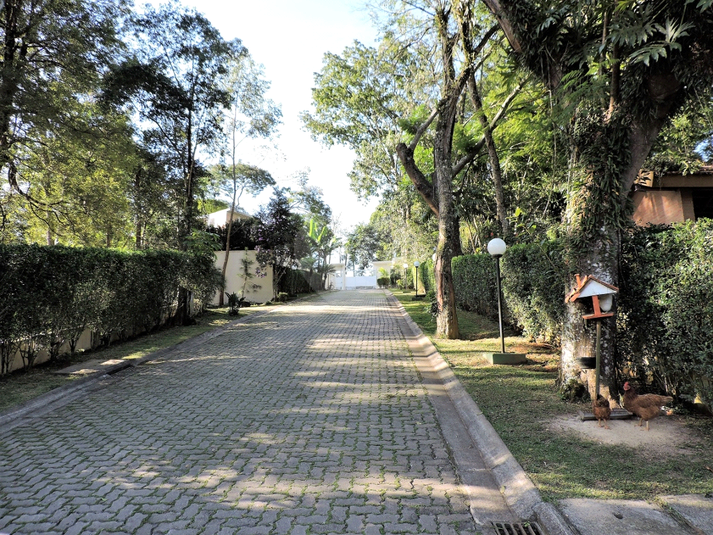 Foto REO1130337