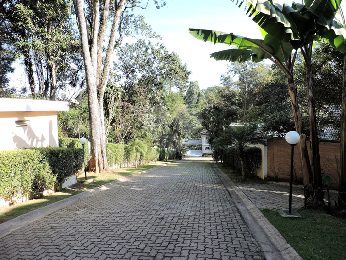 Foto REO1130337