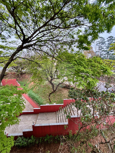 Foto REO1130346