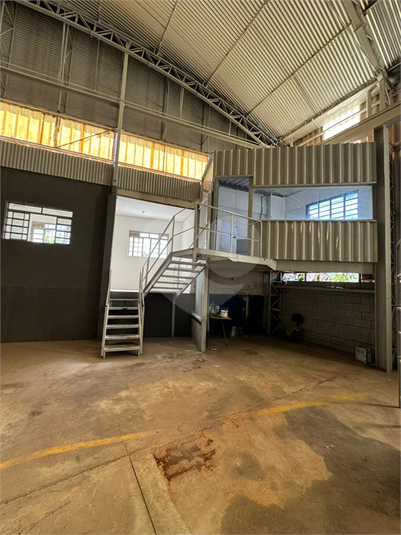 Foto REO1130349