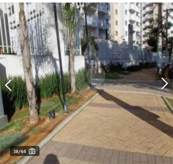 Foto REO1130355