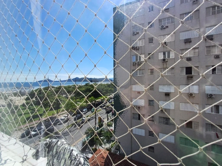 Foto REO1130359