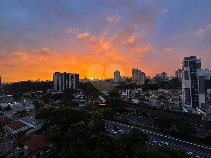 Foto REO1130362