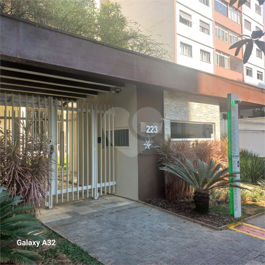 Foto REO1130364