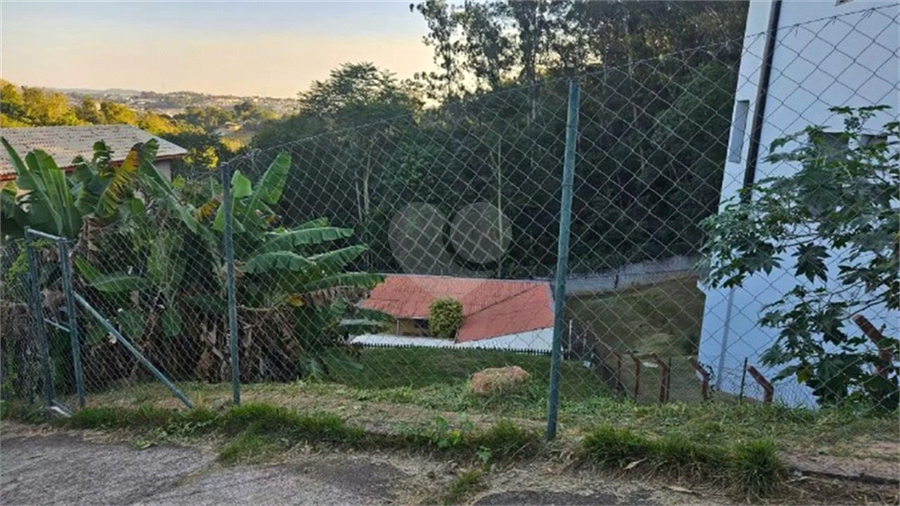 Foto REO1130365