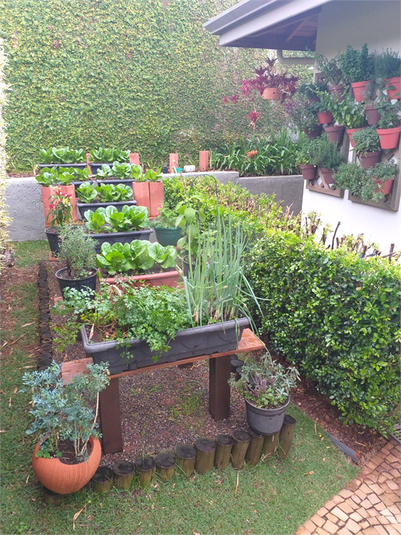 Foto REO1130370