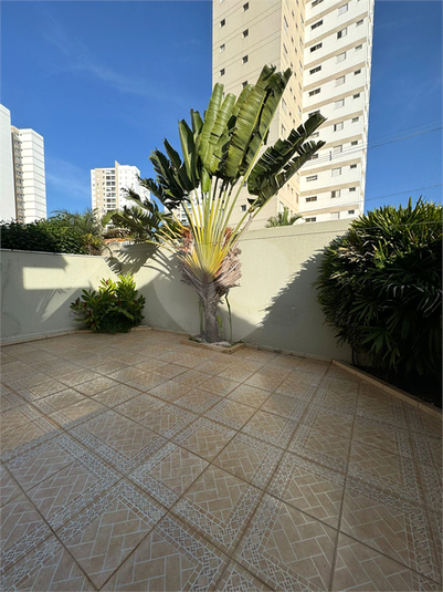 Foto REO1130372