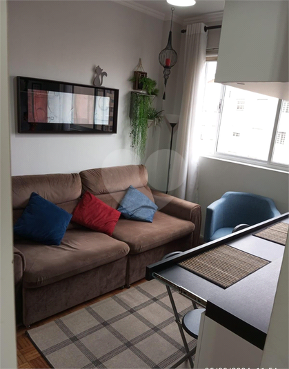 Foto REO1130378