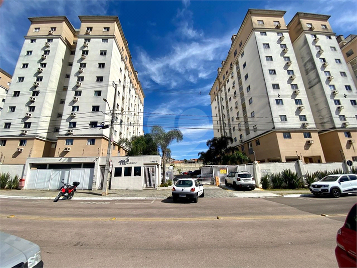 Foto REO1130382