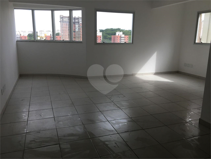 Foto REO1130384