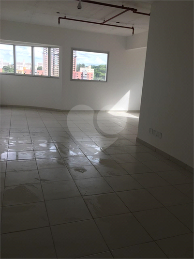 Foto REO1130384