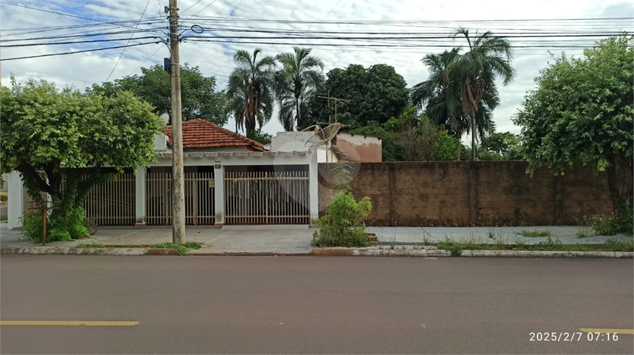 Foto REO1130385
