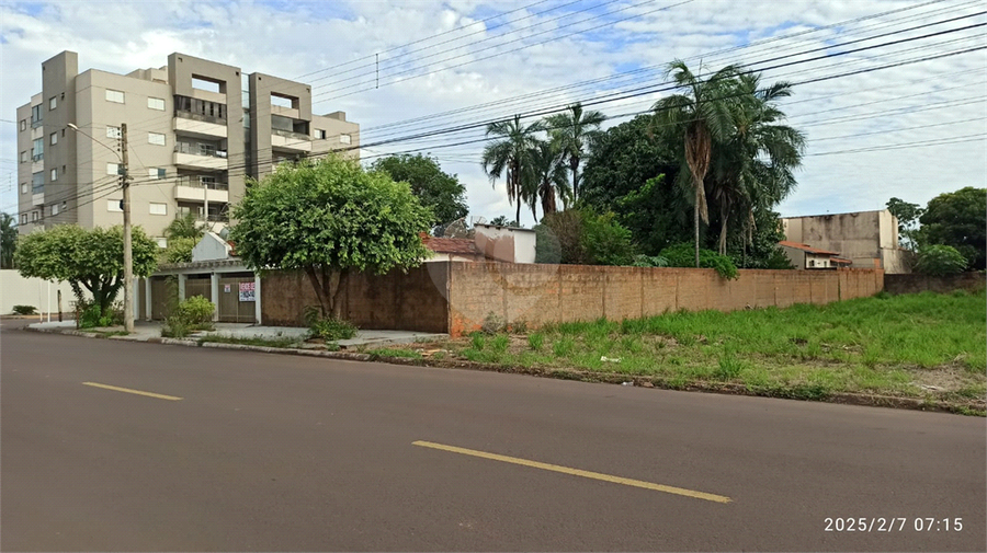 Foto REO1130385