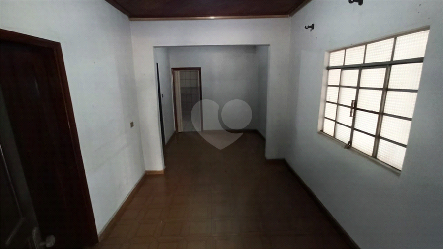 Foto REO1130385