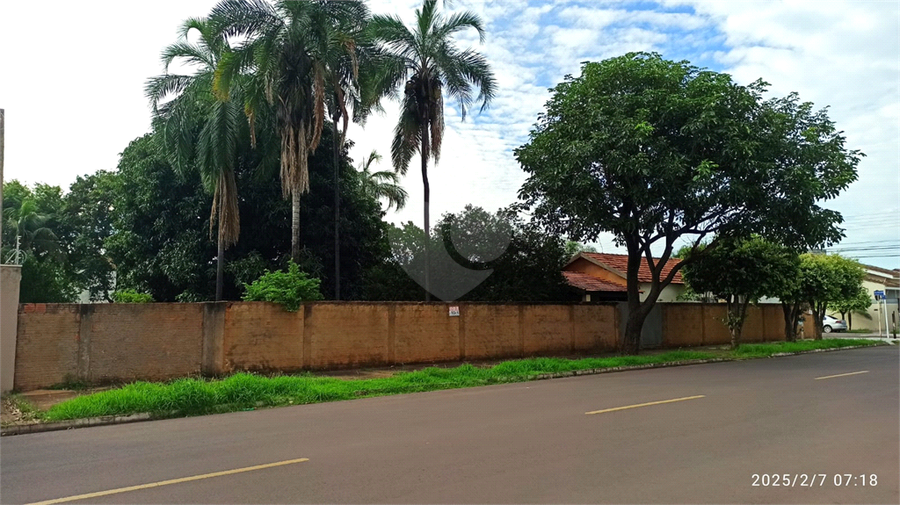 Foto REO1130385