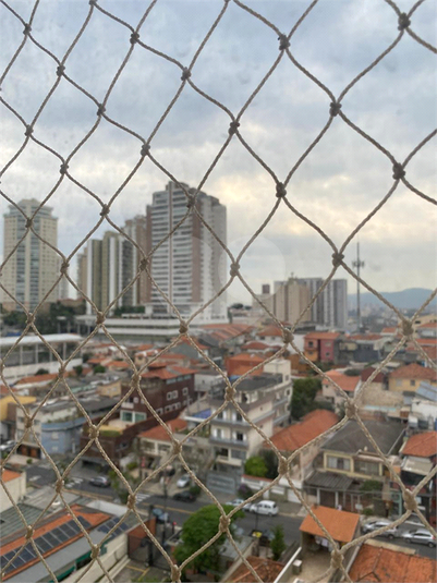 Foto REO1130387