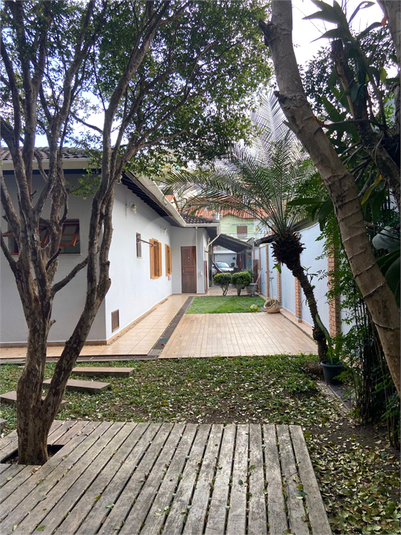 Foto REO1130394