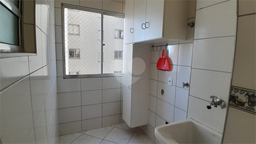 Foto REO1130403