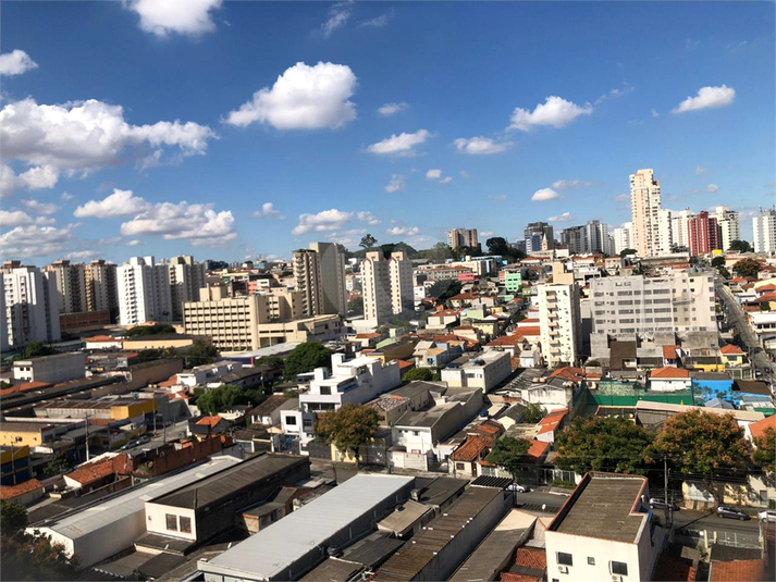 Foto REO1130433