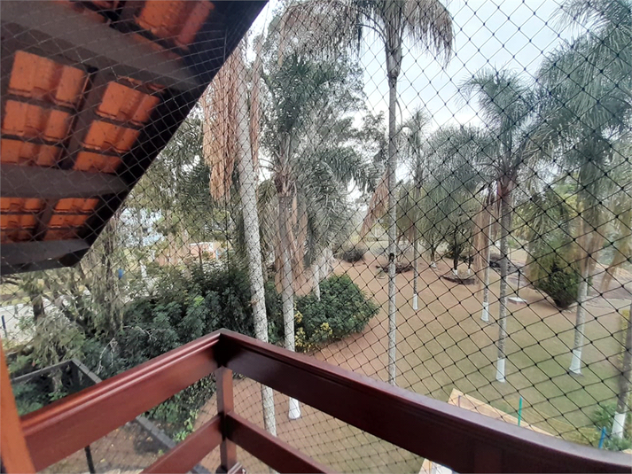 Foto REO1130437