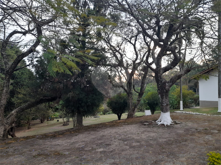 Foto REO1130437