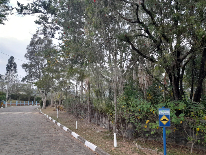 Foto REO1130437