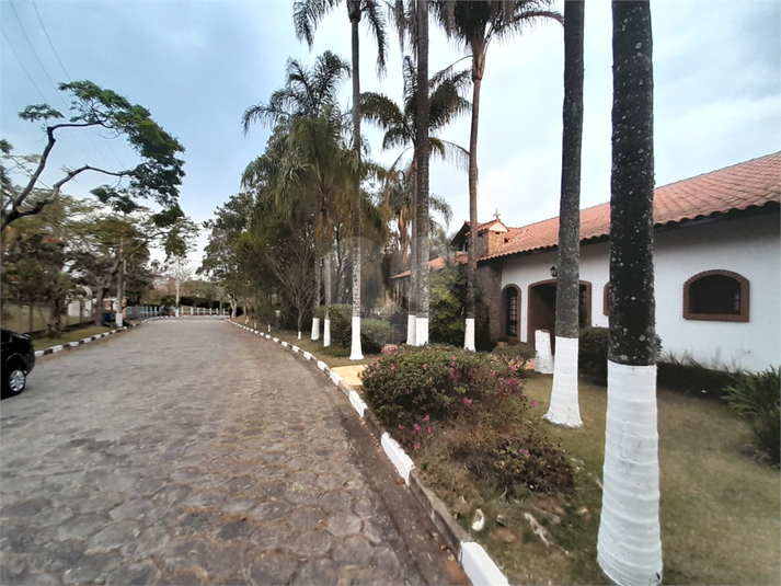 Foto REO1130437