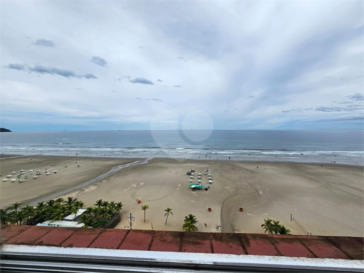 Foto REO1130440