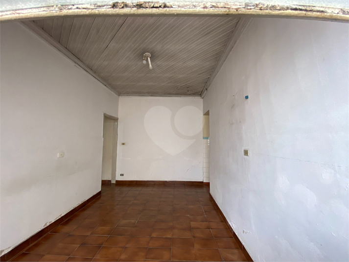 Foto REO1130447