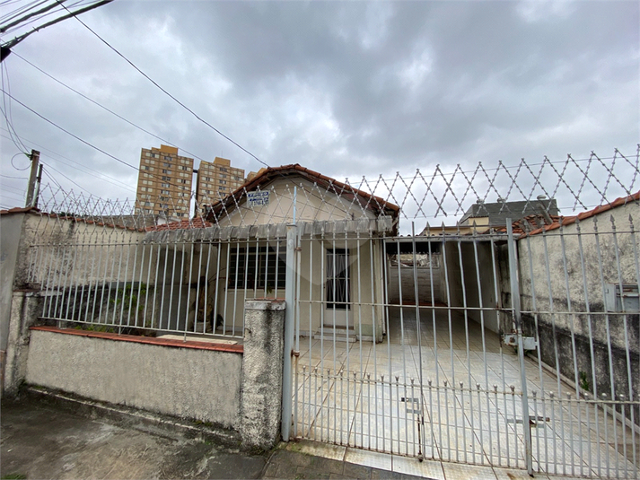 Foto REO1130447