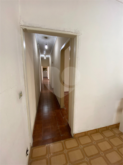 Foto REO1130447