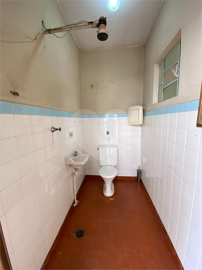 Foto REO1130447