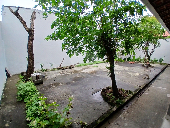 Foto REO1130452
