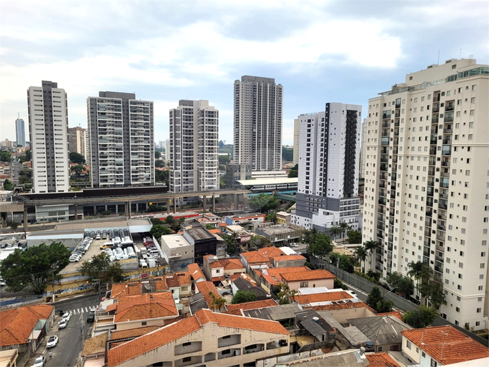 Foto REO1130455