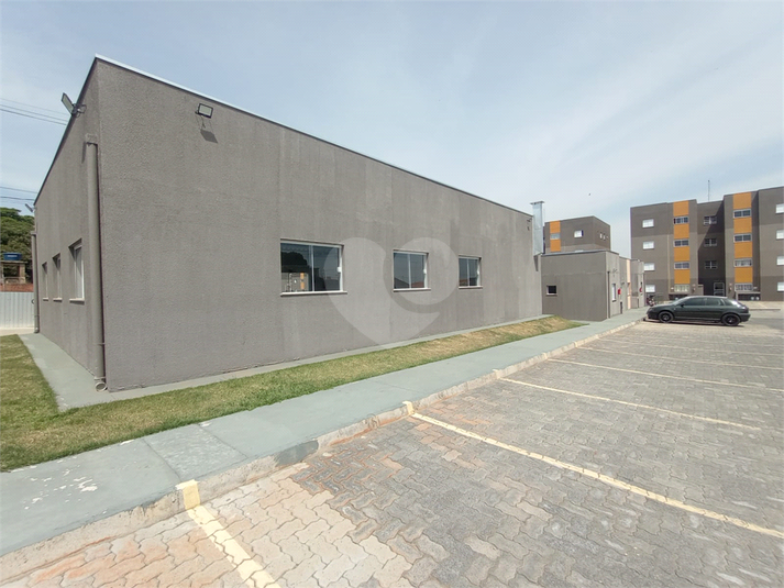 Foto REO1130456