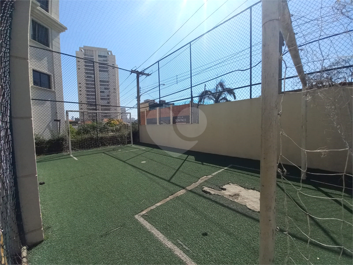 Foto REO1130463