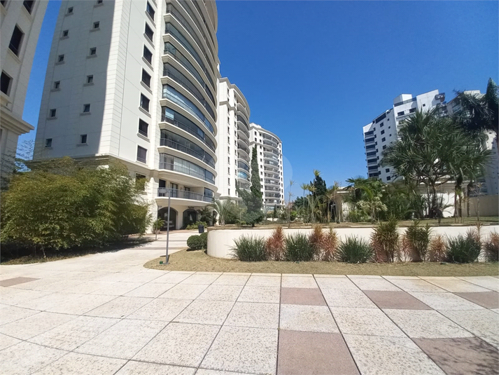 Foto REO1130463