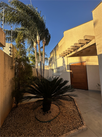 Foto REO1130465