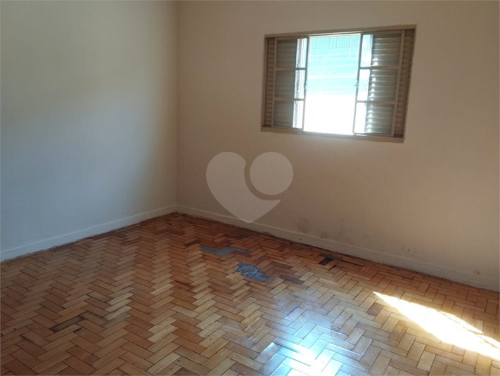 Foto REO1130466