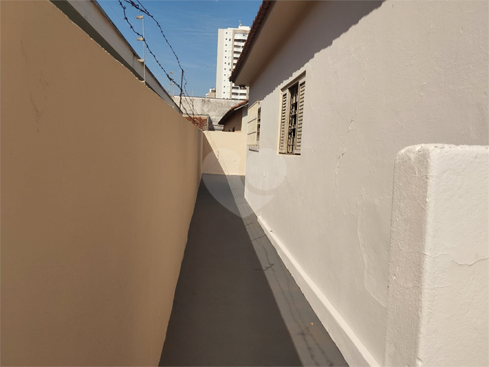 Foto REO1130466