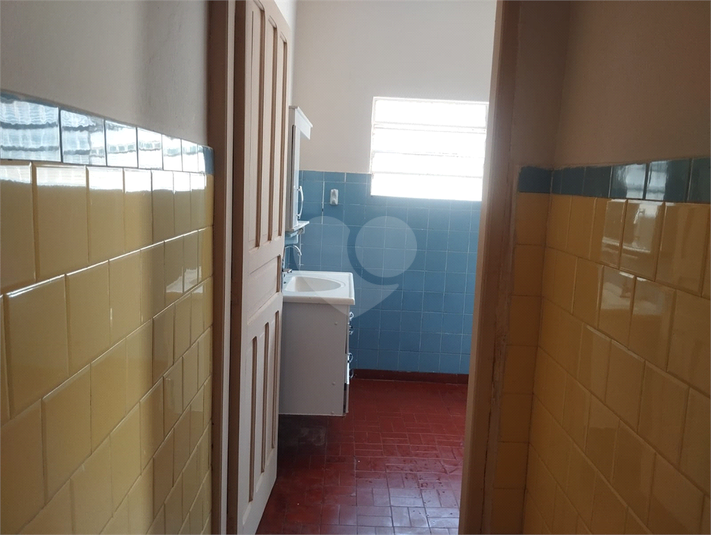 Foto REO1130466