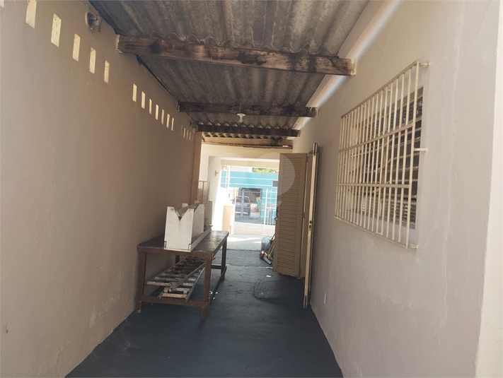 Foto REO1130466