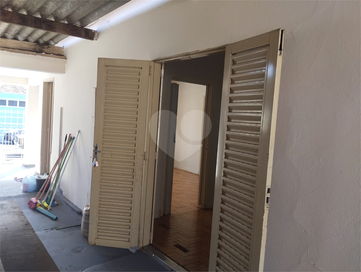 Foto REO1130466