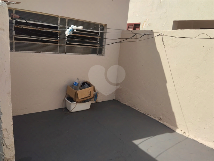 Foto REO1130466