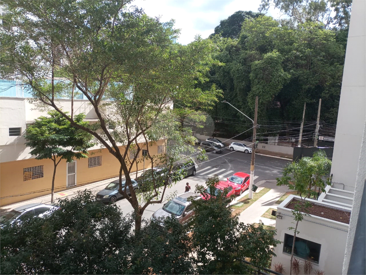 Foto REO1130468