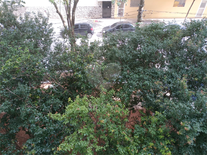 Foto REO1130468
