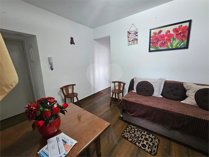 Foto REO1130471