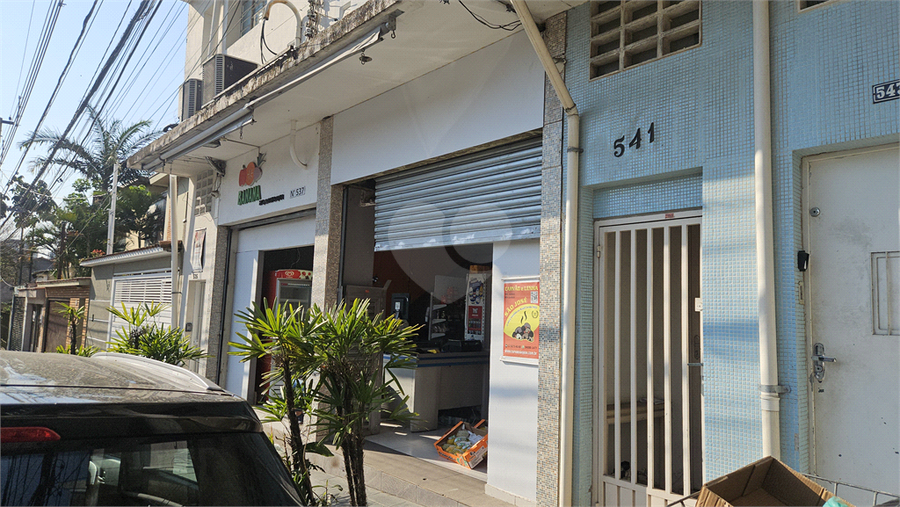 Foto REO1130486