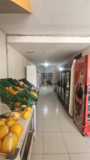 Foto REO1130486