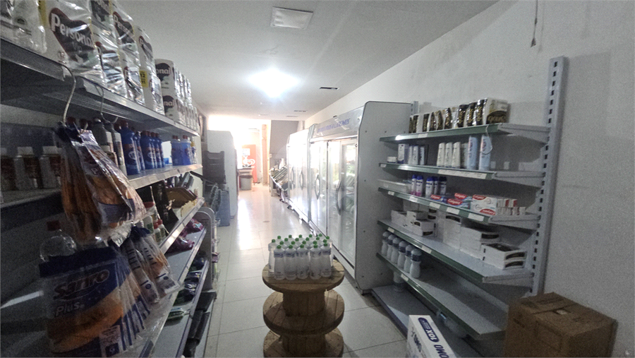 Foto REO1130486